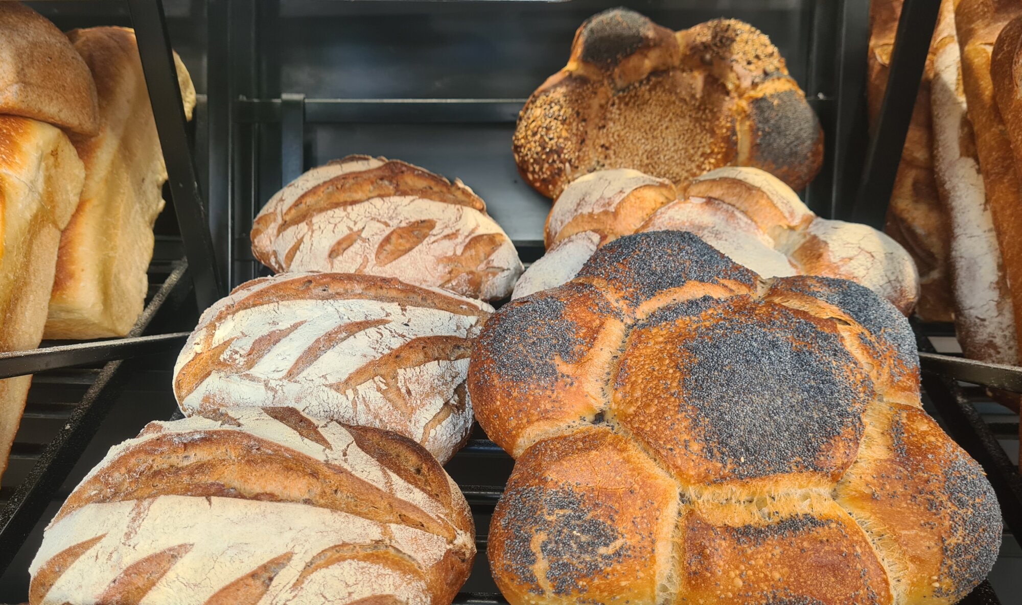 Boulangerie J.Wioland : un savoir-faire familial transmis de p&egrave;re en fille Colmar