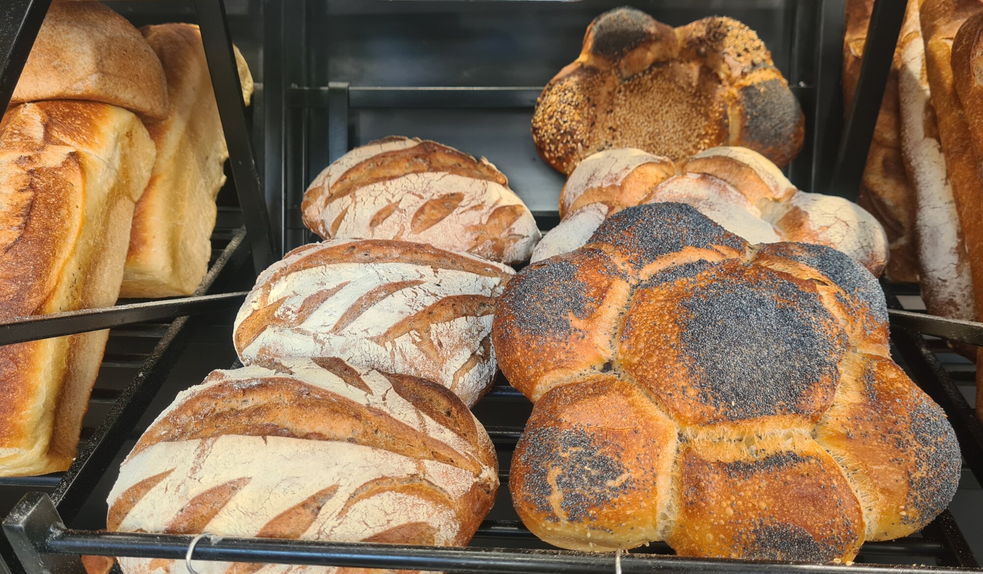 Boulangerie J.Wioland : un savoir-faire familial transmis de p&egrave;re en fille Colmar